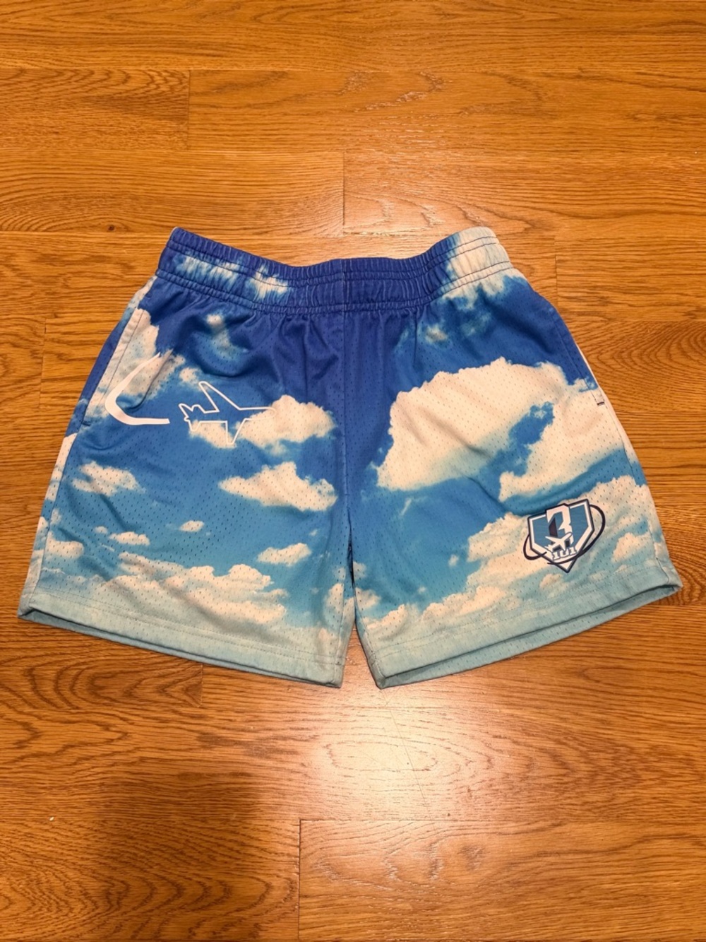 Baseball Lifestyle 101 (BL101) Dream Chaser Youth Shorts